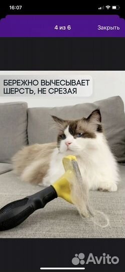 Дешеддер для кошек и собак