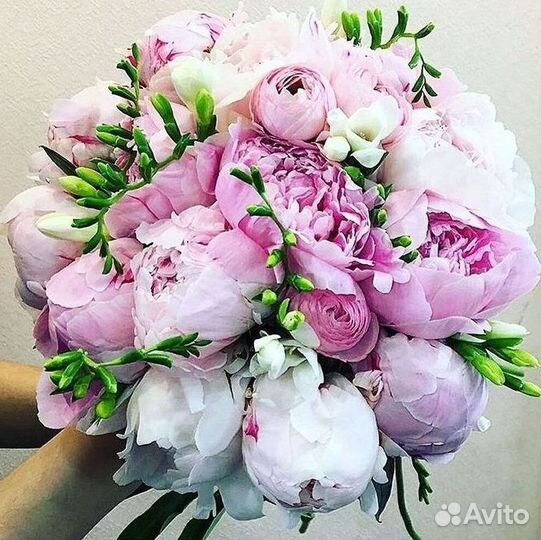 Пионы Цветы Доставка