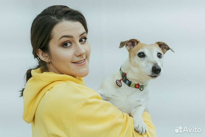 Кинолог. Дрессировка собак