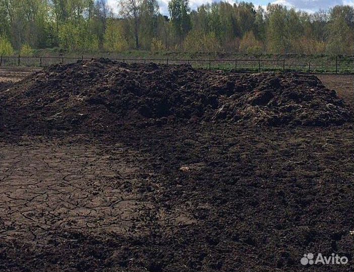 Навоз продам