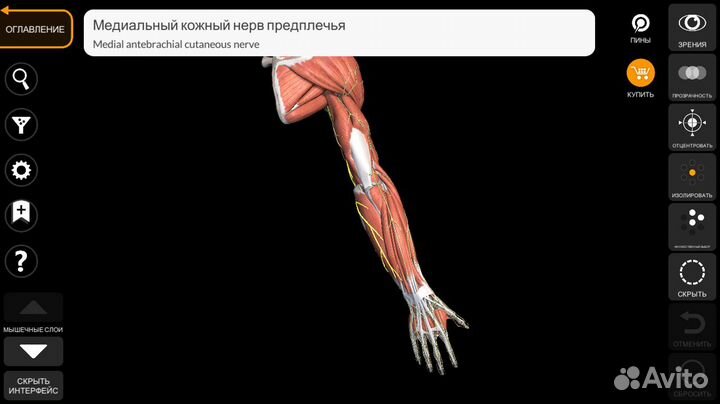 Репетитор по биологии, химии, Семейное обучение