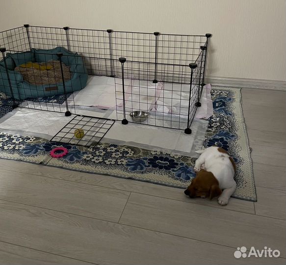 Вольер для животных