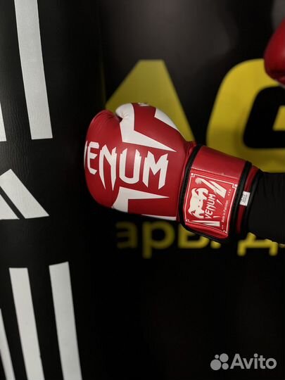 Боксёрские перчатки для единоборств Venum