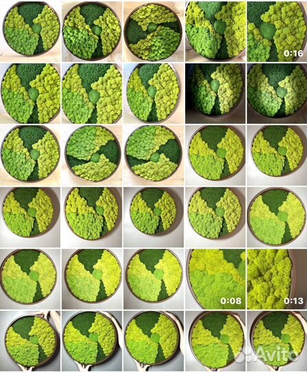 Панно из микса мхов