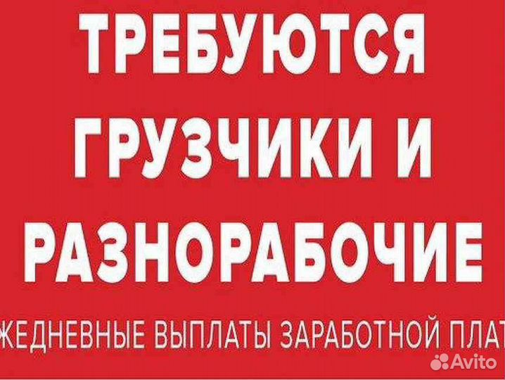 Грузчик разнорабочий с ежедневной оплатой