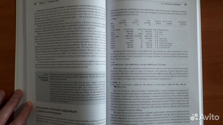 Kali Linux от разработчиков