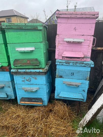 Улей для пчел бу
