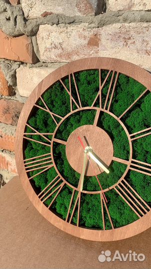 Часы со стабилизированным мхом