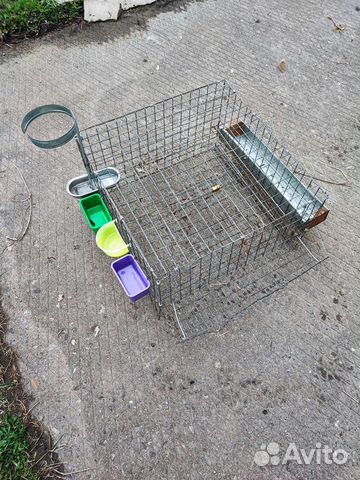 Клетка для перепелок