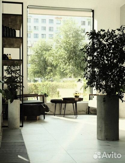 Администратор