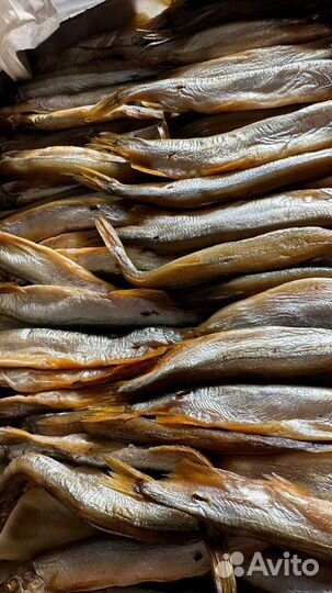 Доставка рыбы