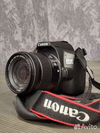 Фотоаппарат Canon EOS 250D Kit