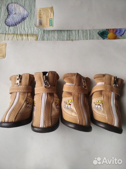 Обувь для собак