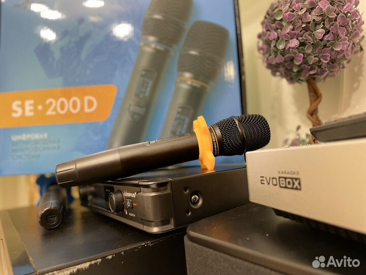 Караоке стстемы топ-уровня ast / evolution