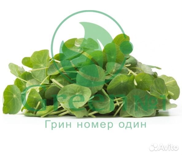 Семена для микрозелени