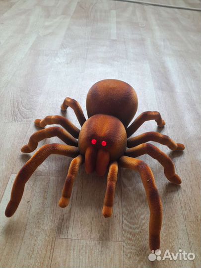 Паук на радиоуправлении