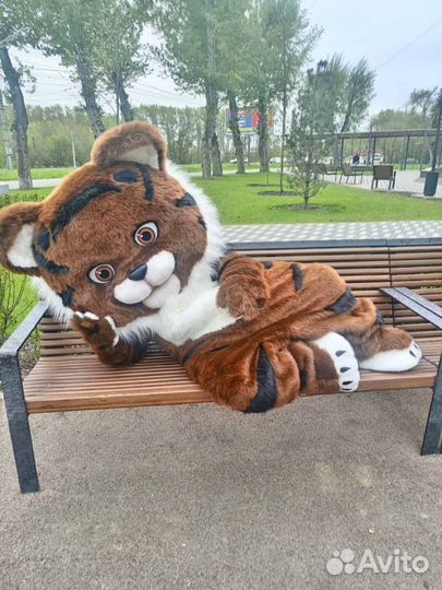 Ростовая кукла, Тигрёнок, Аниматор, поздравление