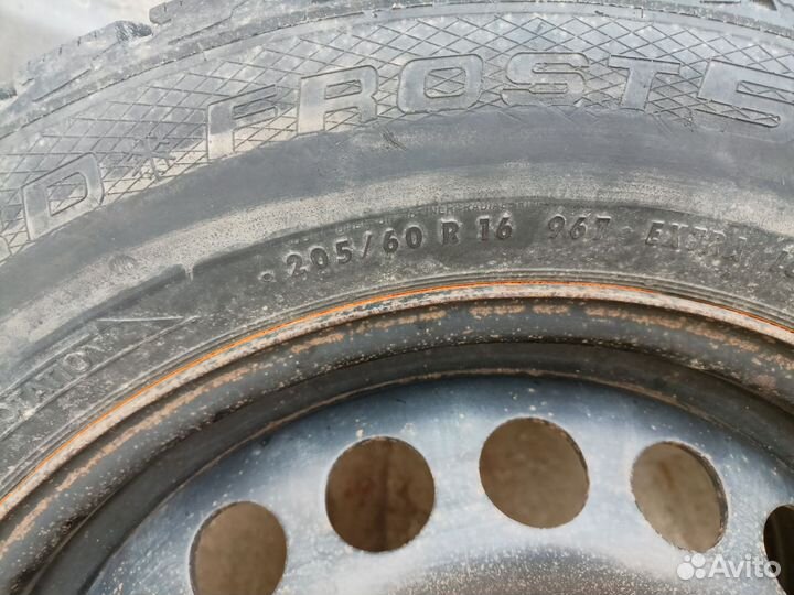 Gislaved Nord Frost 5 205/60 R16