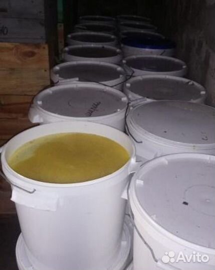 Мёд оптом и розницу. в Твери. Урожай 2023 г