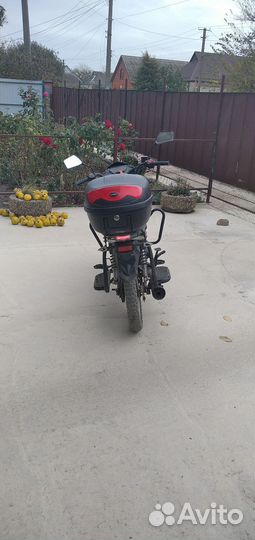 Мопед Alpha RS12