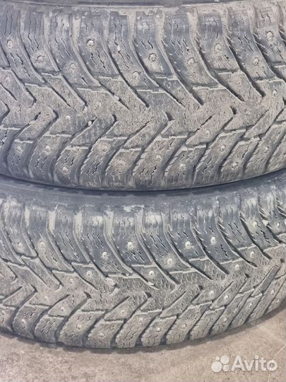 Nokian Tyres Hakkapeliitta 8 195/55 R15