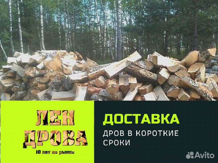 Дрова на дачу