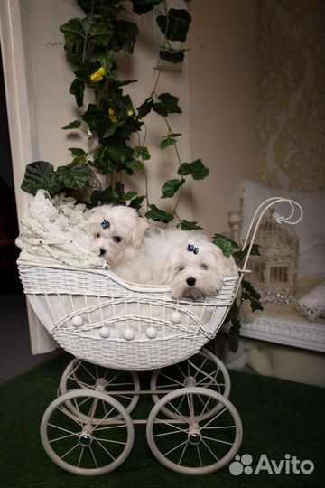 Детская коляска игровая, декор