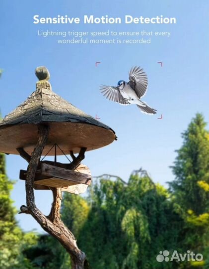 Фото ловушка HC300