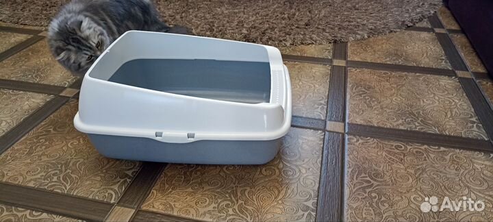 Лоток для кошек большой