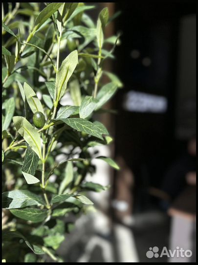 Прочная Тротуарная Плитка от 120 м2