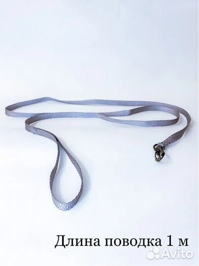 Шлейка/поводок для попугая/птицы