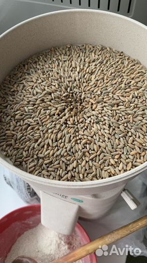 Мука свежесмолотая цельнозерновая