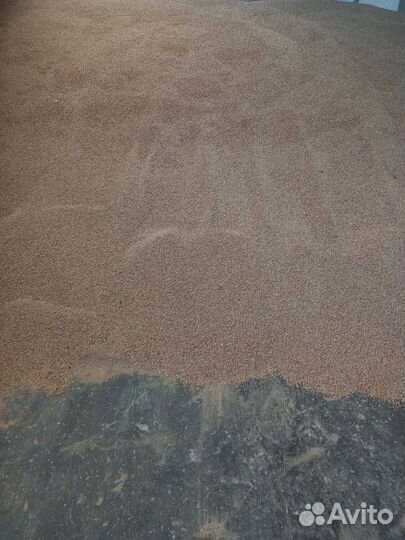 Рожь 100 тонн