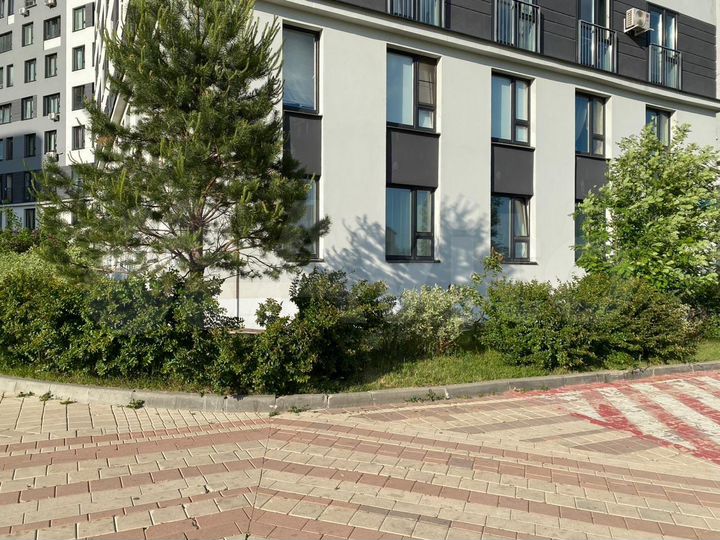 Торговая площадь, 53 м²