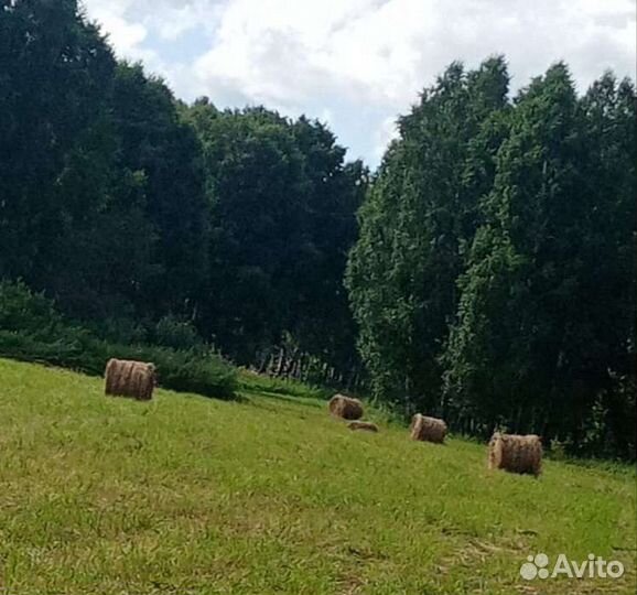 Сено в рулонах