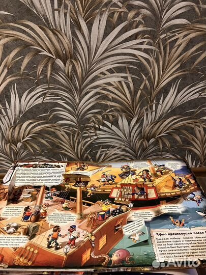 Пираты. Загадочный мир прошлого