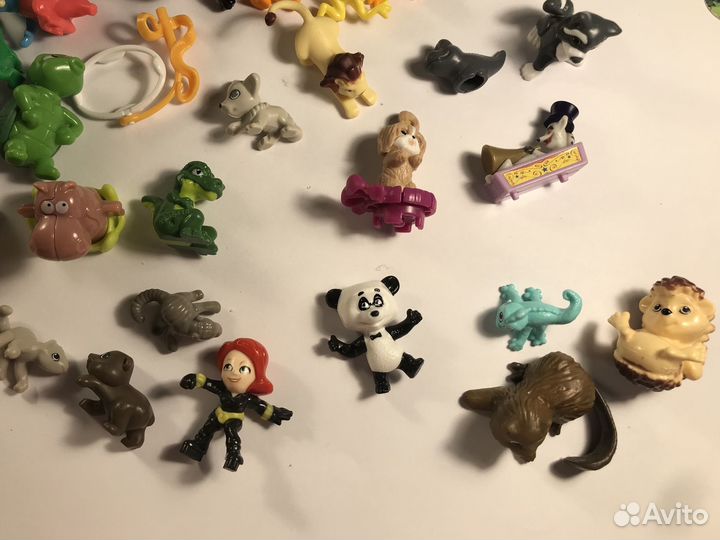 Городские собаки, бегемоты