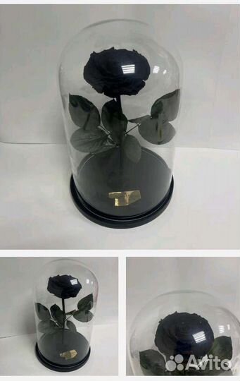 Роза в колбе