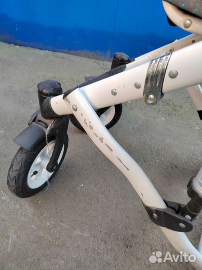 Коляска 2 в 1 Daisy Prampol