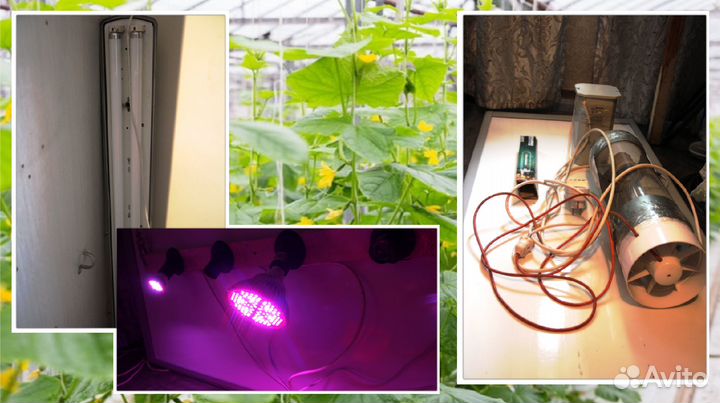 Фитолампы,эсл. пра для днат 400 Galad