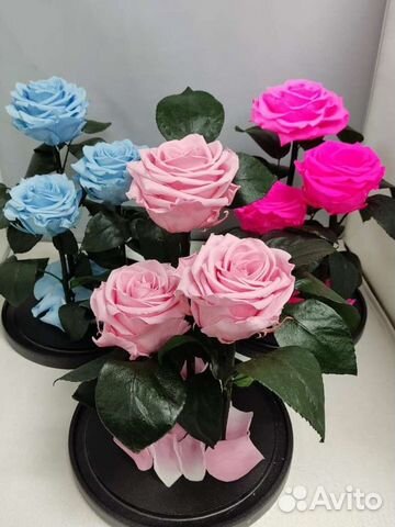 Роза в колбе оптом