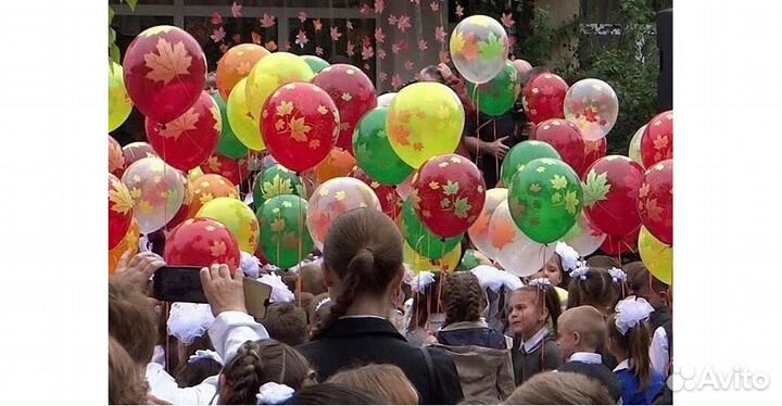 Шары День учителя домой в школу детский сад