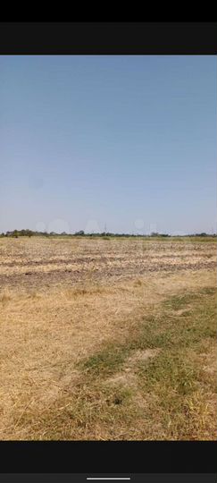 Участок 8 сот. (СНТ, ДНП)