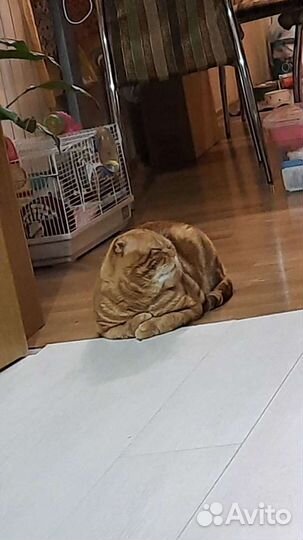 Ждём на вязку