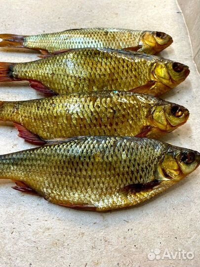 Рыба Чебак хк н/п цена за кг