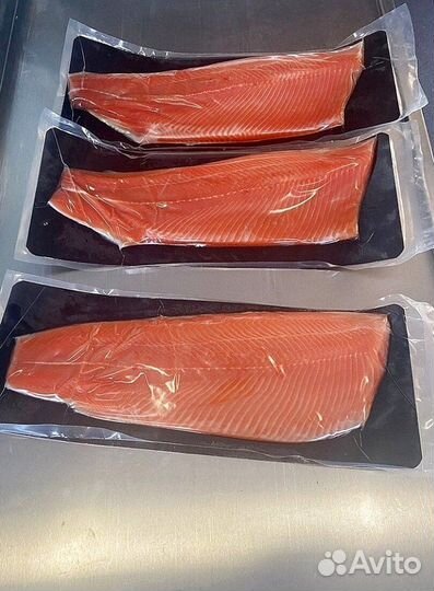Свежая форель из Карелии оптом от 20 кг