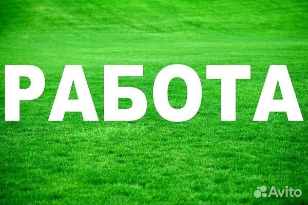 Консьерж / Еженедельные авансы