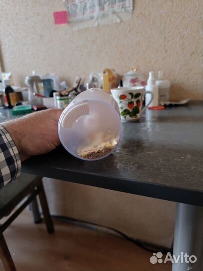 Автокормушка для рыб