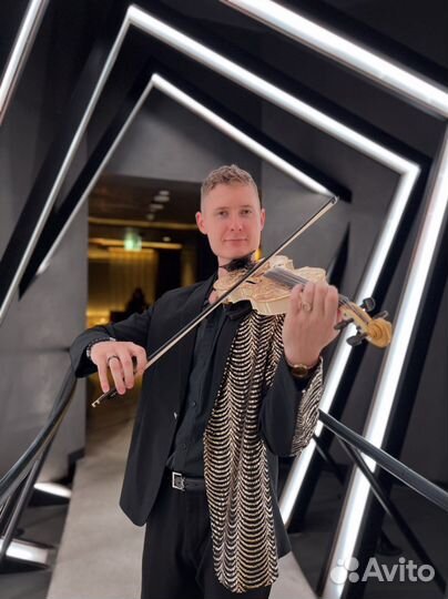 Скрипач / DJ / drum шоу