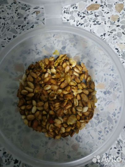 Семена граната